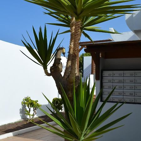 Dunasol 341 By Best Holidays Fuerteventura Corralejo Esterno foto
